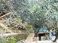 Escalier pour accéder du parking au restaurant en traversant la rivière et les cascades