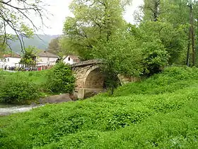 Bogomila