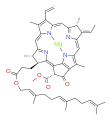 Bactériochlorophylle g