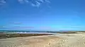 Palud Gourinet : le littoral de la baie d'Audierne à marée basse.