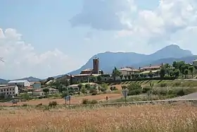 Bailo