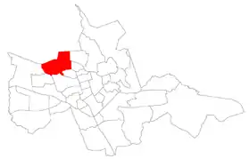 Caturrita