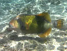 A La Réunion
