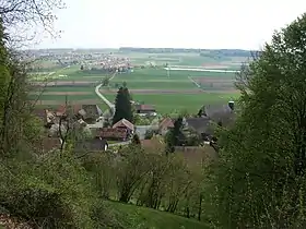 Messen