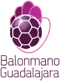 Logo actuel