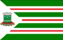 Drapeau de Nova Andradina