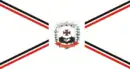 Drapeau de Alterosa