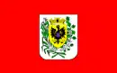 Drapeau de Treze Tílias