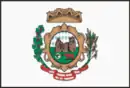 Drapeau de Pedras Altas