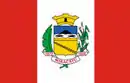 Drapeau de Miracatu