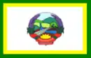 Drapeau de Riozinho