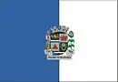 Drapeau de Visconde do Rio Branco
