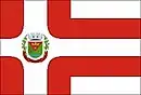 Drapeau de Bias Fortes