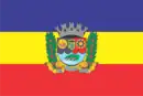 Drapeau de Bicas