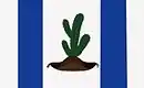 Drapeau de Casa Nova