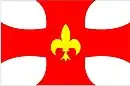 Drapeau de Regente Feijó