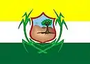 Drapeau de Timbaúba