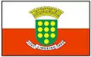 Drapeau de Limoeiro