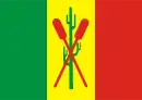 Drapeau de Petrolina