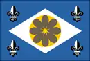 Drapeau de Ibirataia