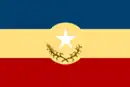 Drapeau de Cristóbal Rojas