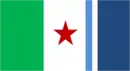 Drapeau de Sagrada Família commune du Chili