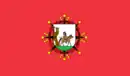 Drapeau de Arévalo