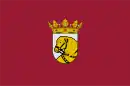 Drapeau de Cuéllar