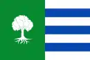 Drapeau de Olmedilla de Alarcón