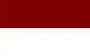 Drapeau de Pedro Muñoz