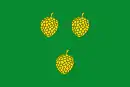 Drapeau de Pinell de Solsonès