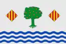 Drapeau de Polinyà de Xúquer