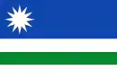 Drapeau de Renedo de la Vega
