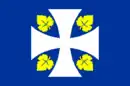 Drapeau de Ribas de Sil