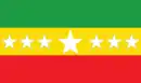 Drapeau de Canton de San Miguel