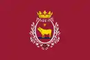 Drapeau de Teruel