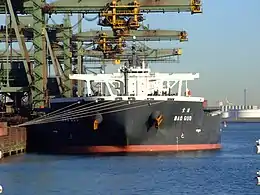Le minéralier Bao Guo (300 × 50 m, 208&nbsp;014&nbsp;DWT) en train d'être déchargé au EMO en 2009.