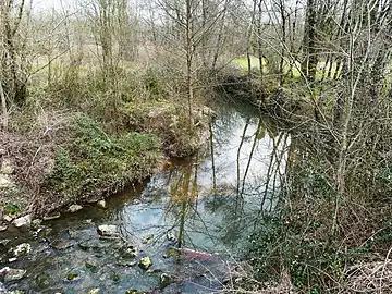 Le Barailler au pont de la RD 15, près du lieu-dit Petit Lavaure.