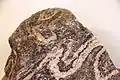 Migmatite.