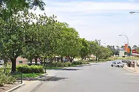Barmera