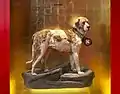 Le chien Barry