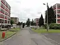 La rue centrale avec les bâtiments industriels alignés en parallèle.