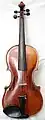 Violon