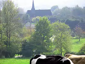 Bay (Ardennes)