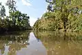 Course-poursuite dans les bayous
