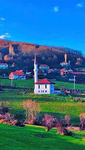 Benčuk