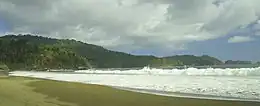 Plage de sable au premier plan et forêt vierge en arrière plan.
