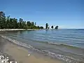 Plage avec plusieurs espèces d'arbres de la taïga.