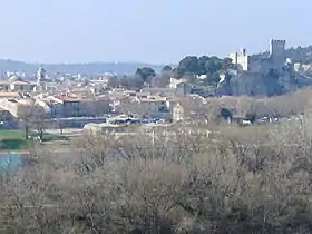 Vue d'ensemble de Beaucaire et son château (à droite), janvier 2010.
