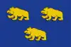 Drapeau de Beernem
